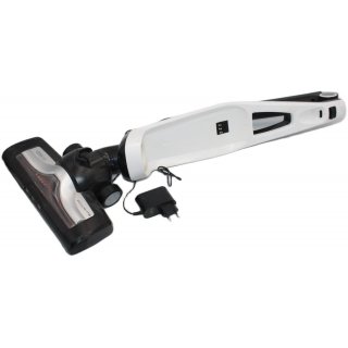 Rowenta RH6737 Dual Force 2-in-1 kabelloser Akku-Stabstaubsauger, gebraucht